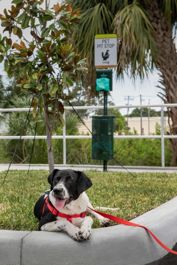 Home2 Suites By Hilton Tampa Westshore Airport, Fl エクステリア 写真
